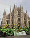 872-Milano Marathon 2024